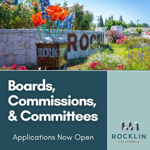 Boards, Commissions, Committees 