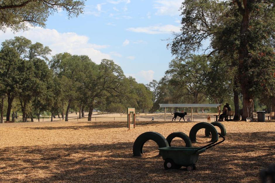 The RRUFF Dog Park in Rocklin, California is about an acre and has a tire agility course