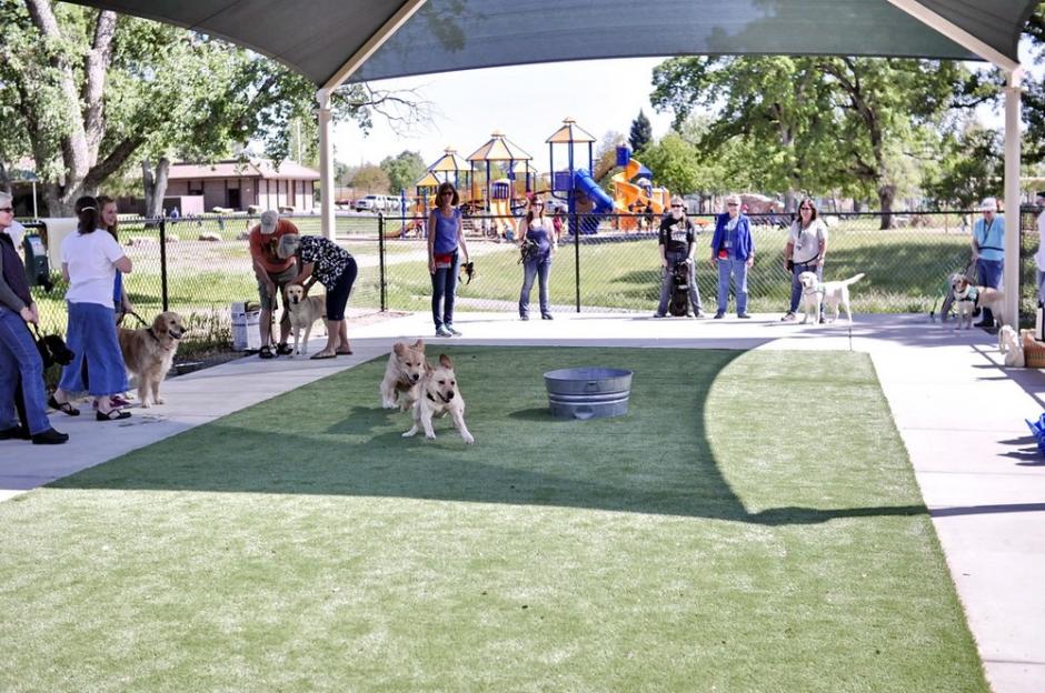 At the RRUFF Dog Park in Rocklin, California, People watch two dogs in the special needs area of RRUFF dog park, which has concrete around dog-safe turf.