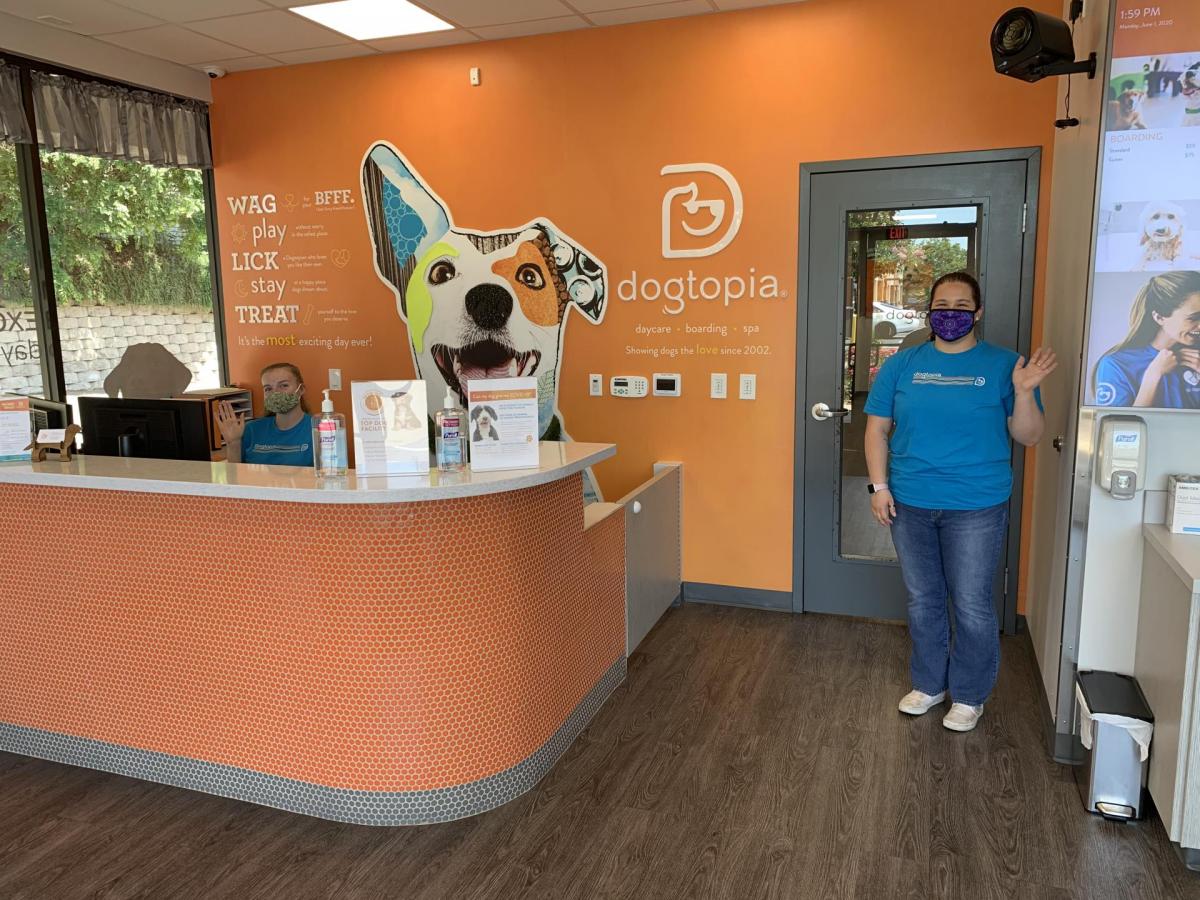 how much can you make owning a dogtopia