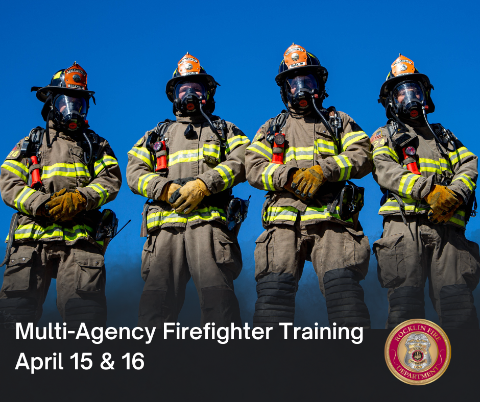 Firefighter training online