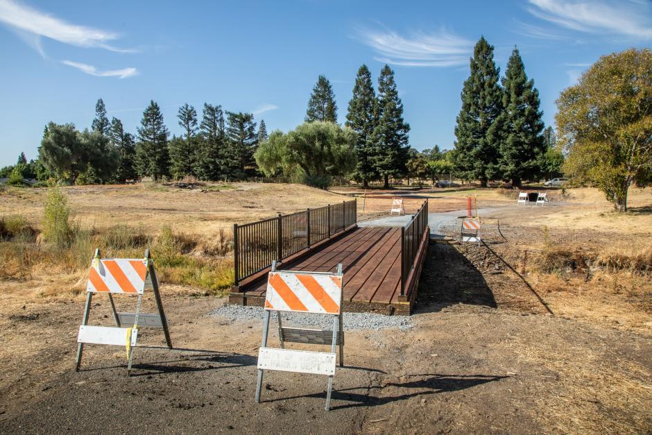 Bridge reconstruction