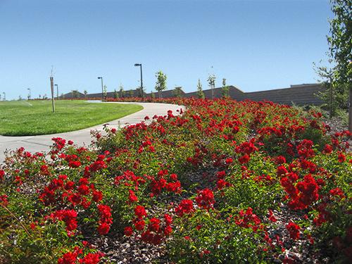 Bolton Park, Rocklin, CA