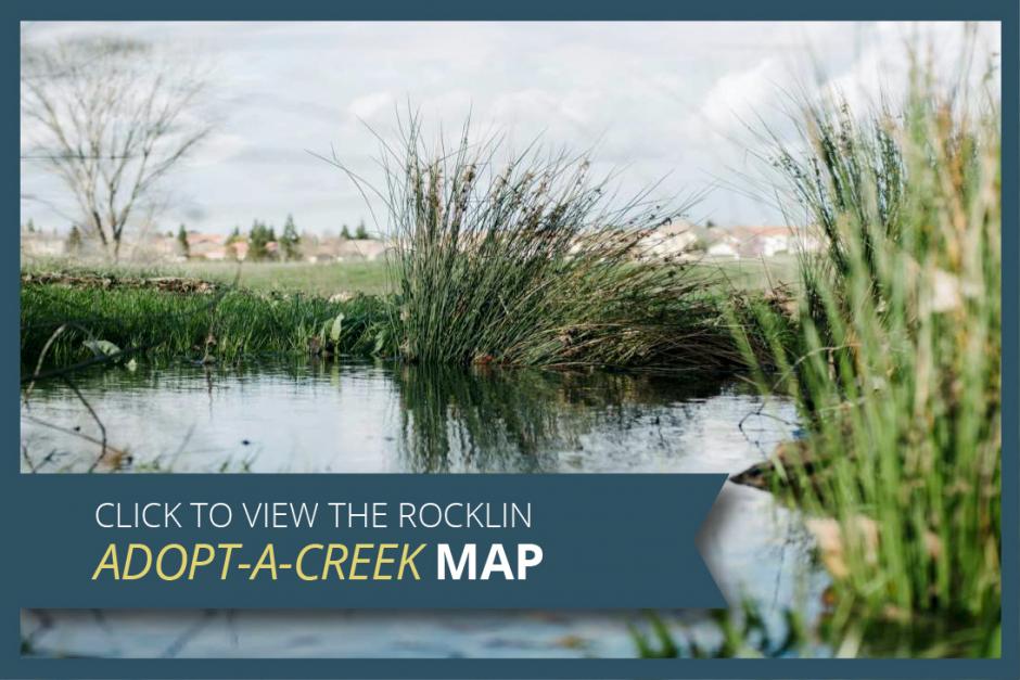Link to Map of Adoptable Creeks