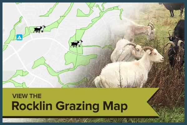 Rocklin Grazing Map