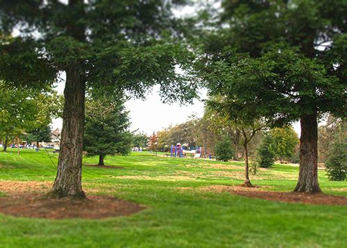 Pebble Creek Park, Rocklin, CA