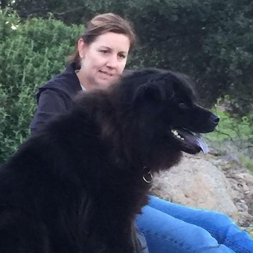 Rocklin Lost and Found Pets