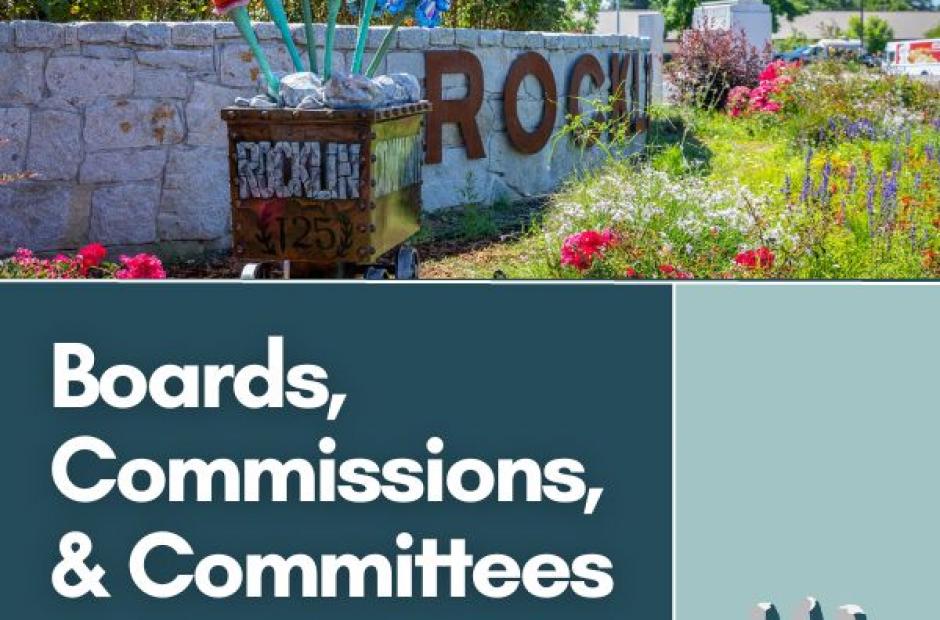Boards, Commissions, Committees 