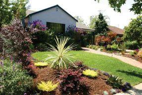 Water Efficient Landscape