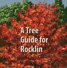 Rocklin Tree Guide