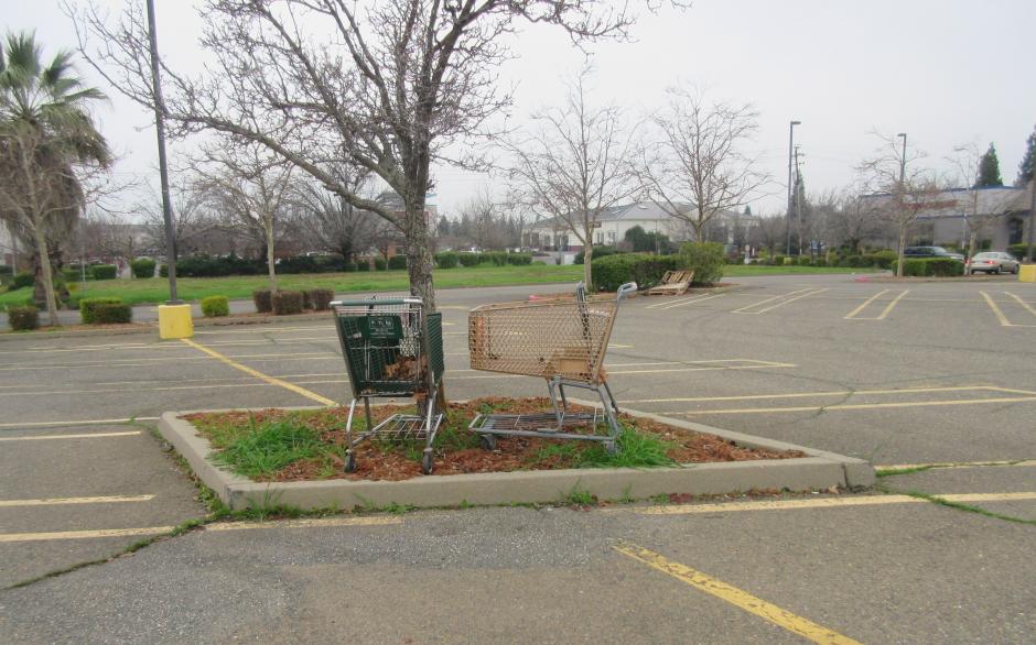Abandoned Shopping Carts
