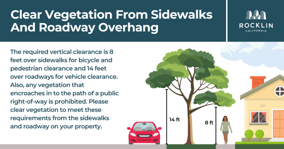 An illustration of a tree, car, and house, and a block of text reading, "The required vertical clearance is 8 feet over sidewalks for bicycle and pedestrian clearance and 14 feet over roadways for vehicle clearance.  Also, any vegetation that encroaches in to the path of a public right-of-way is prohibited.  Please clear vegetation to meet these requirements from the sidewalks and roadway on your property."